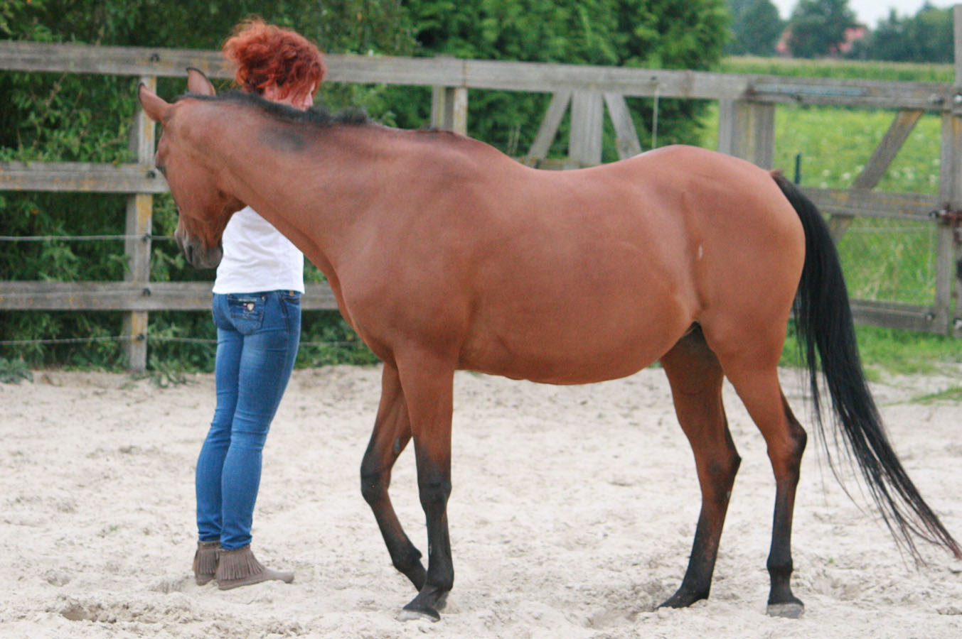 Esther tijdens systemisch veldwerk met een paard in de bak
