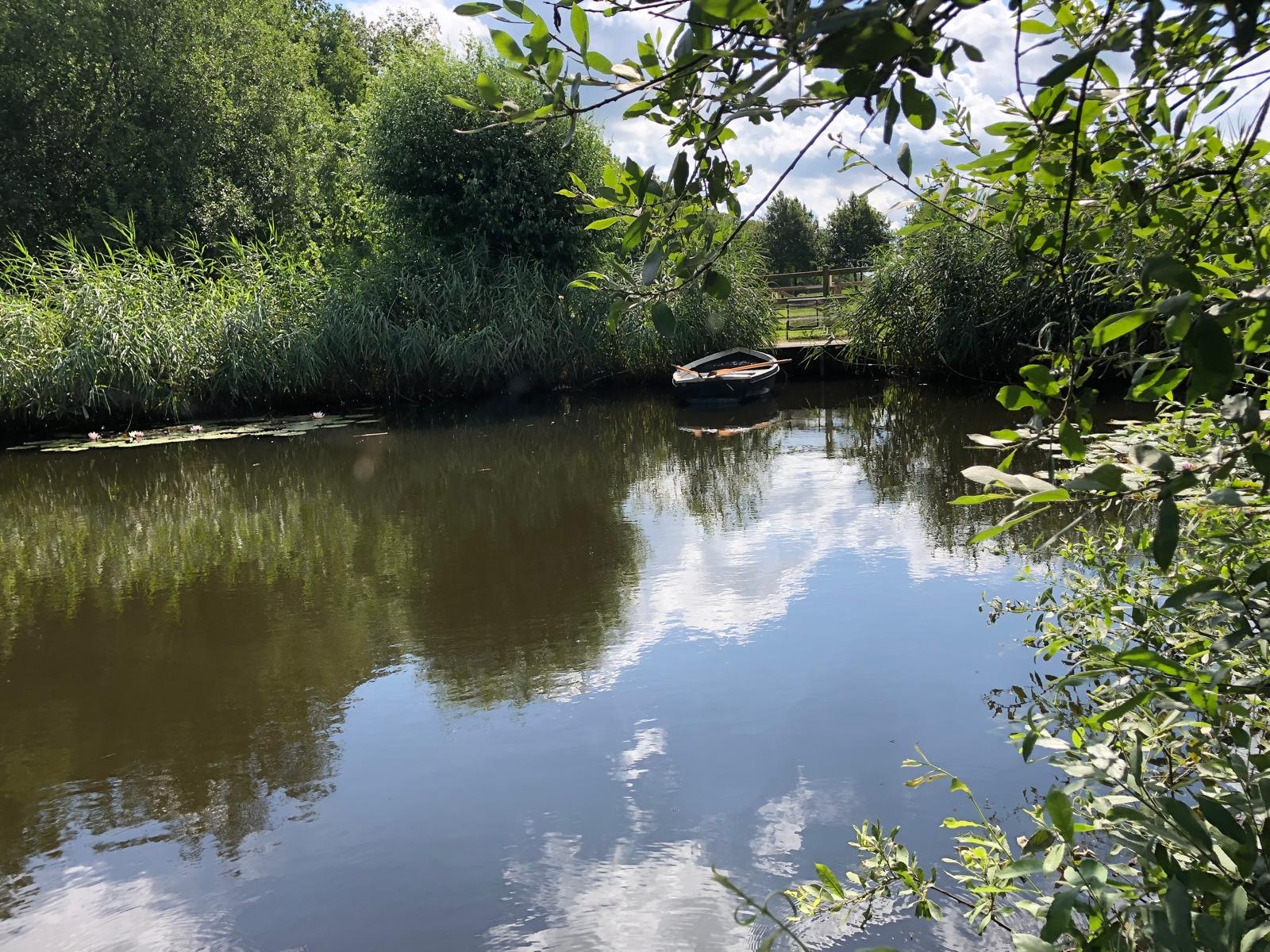 Stil water tussen het groen